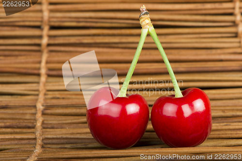 Image of Cherry branch with leaves