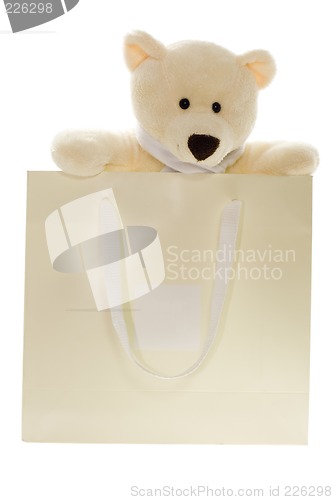 Image of Teddy bear in a paper bag

