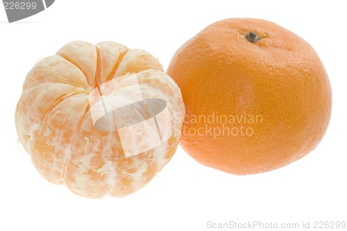 Image of Two mandarin oranges

