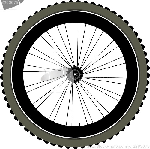 Image of bike wheel with tire and spokes isolated on white