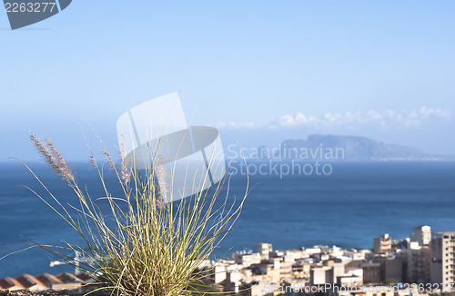 Image of Palermo, town on the coast