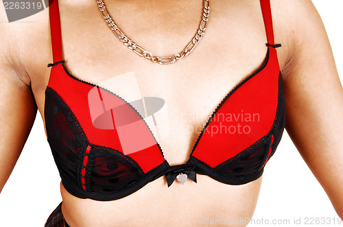 Image of Closeup of bra and necklace.