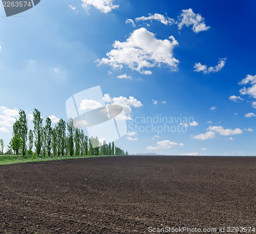 Image of black plowed field under blue sky