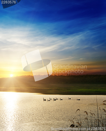 Image of dramatic sunset over river with swans