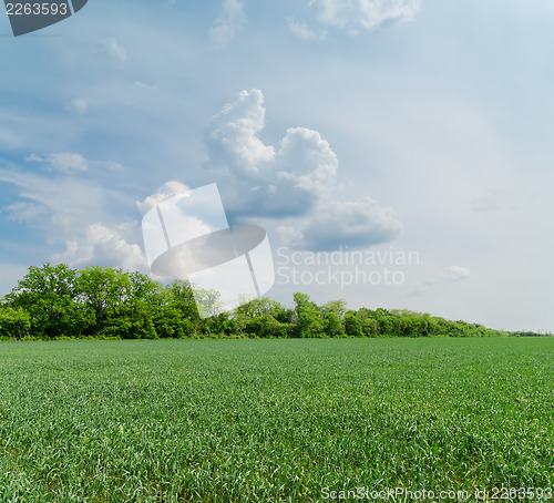 Image of cloudy sky over green field