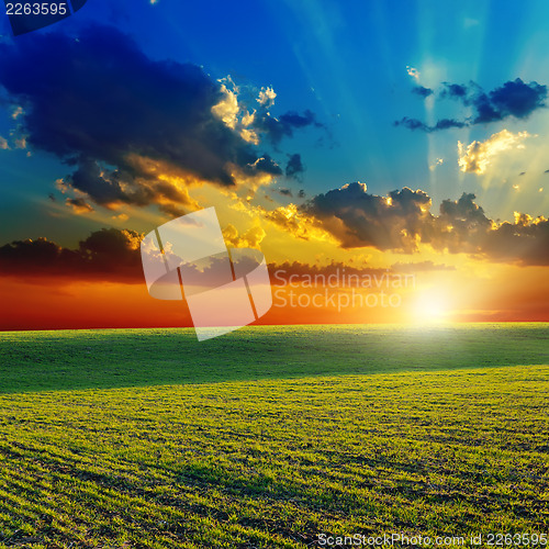 Image of sunset over agricultural green field