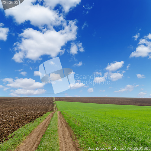 Image of dirty road in green and black field