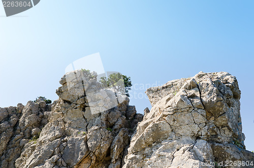 Image of Rock mountain in Crimea, Ukraine