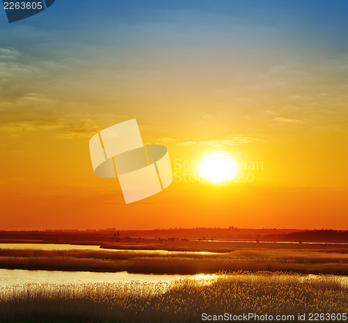 Image of red sunset over river with canes