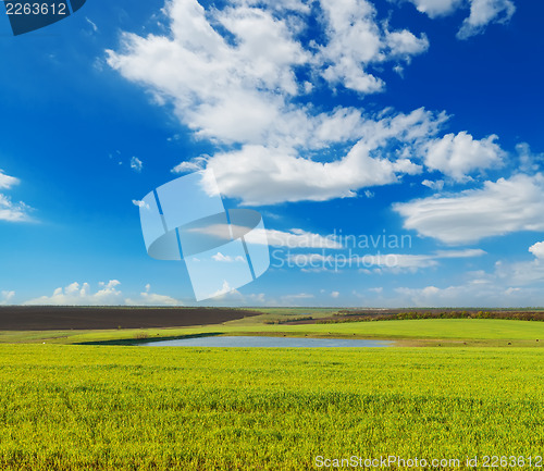 Image of meadow with green grass and blue sky with clouds