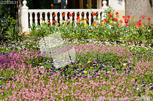 Image of flowered bed with terrace