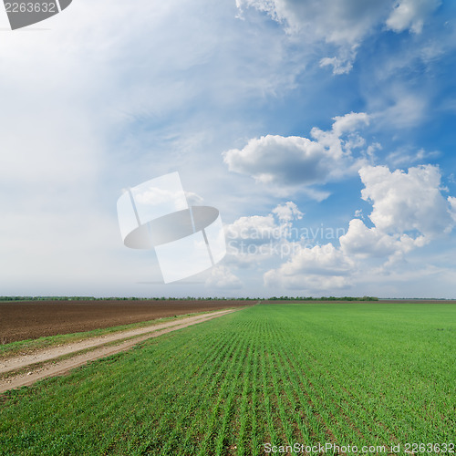 Image of green field with dirty road under cloudy sky