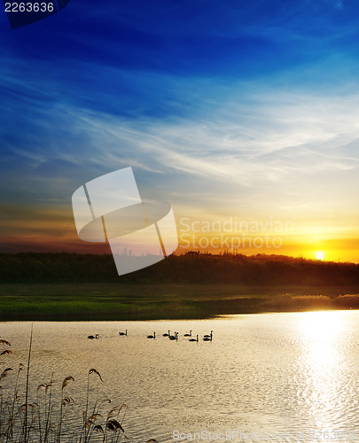 Image of dramatic sunset over river with swans