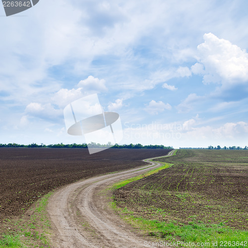 Image of cloudy sky and winding path
