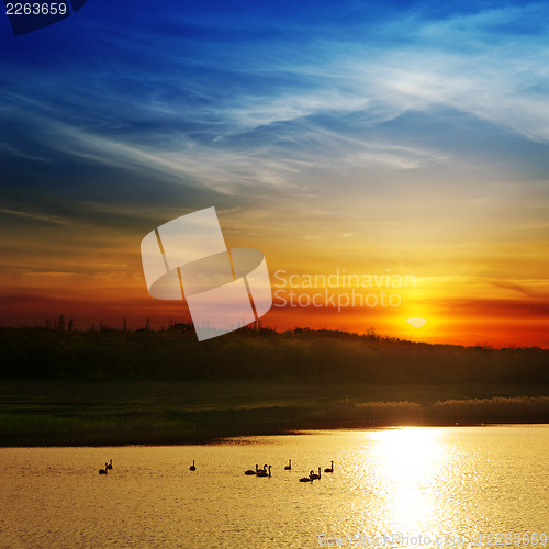 Image of dramatic sunset over river with swans