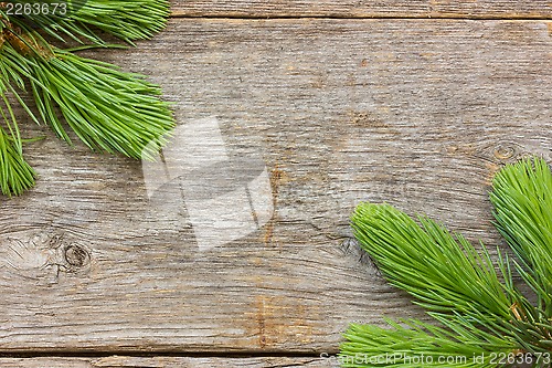 Image of Wooden planks with  fir branches