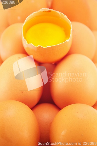 Image of Broken Egg