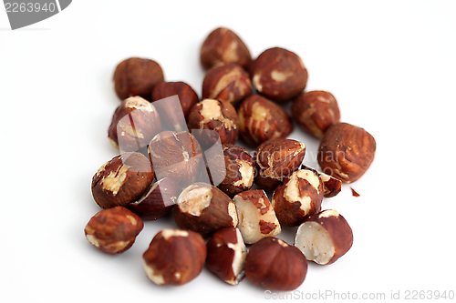 Image of Hazelnuts