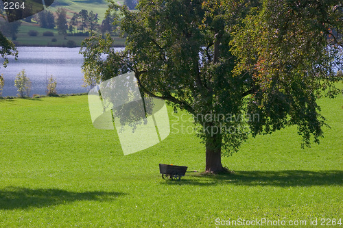 Image of A day in the country