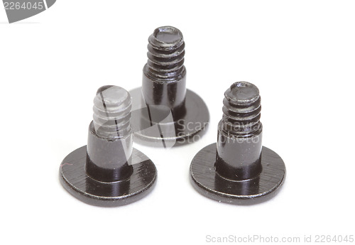 Image of Metallic screws