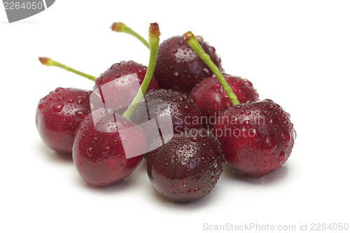 Image of Ripe cherries 
