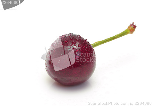 Image of Ripe cherry