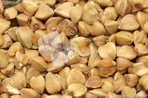 Image of Buckwheat