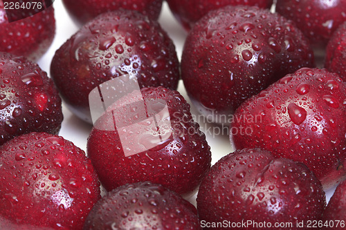 Image of Ripe cherries 
