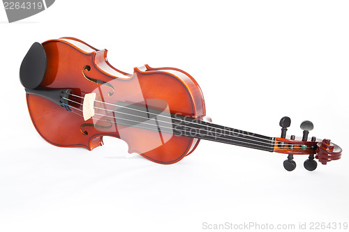 Image of Violin