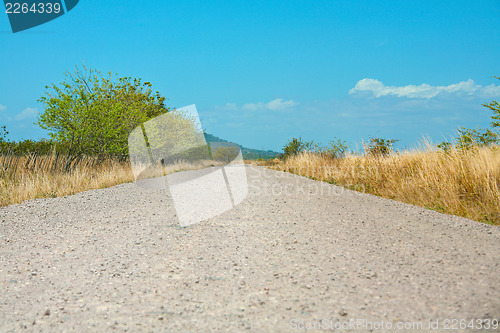 Image of Off-road track in country 