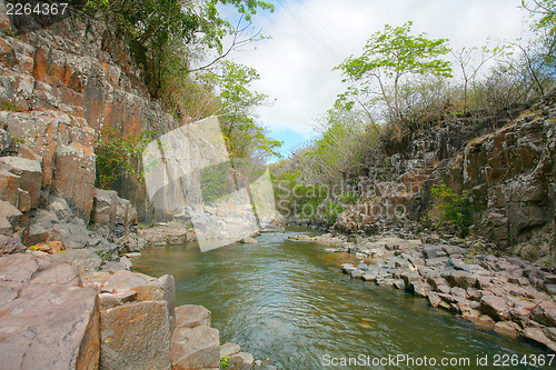 Image of Stream in the tropical forest. 