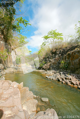 Image of Creek background in jungle forest 