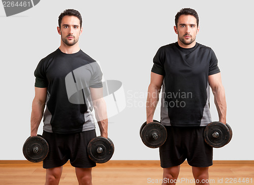 Image of Dumbbell Shrugs