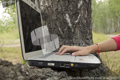 Image of A girl and a computer