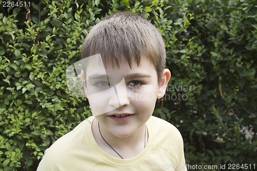 Image of Portrait of a Boy