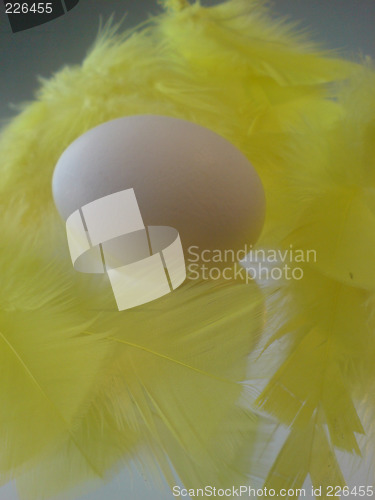 Image of Egg and feather