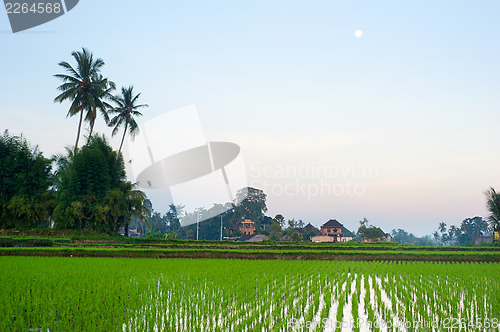 Image of Balinese village