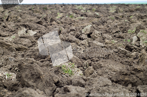 Image of plowed field