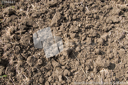 Image of soil