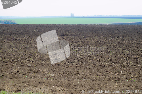 Image of arable land