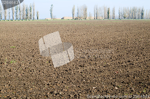 Image of black field