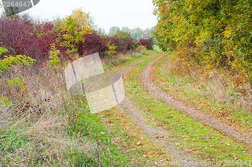 Image of autumn way