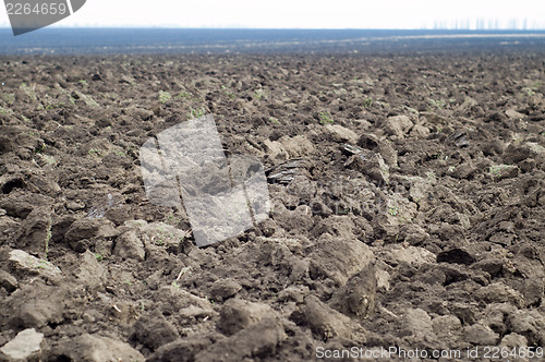 Image of ploughed field