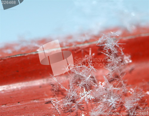 Image of Snowcrystal