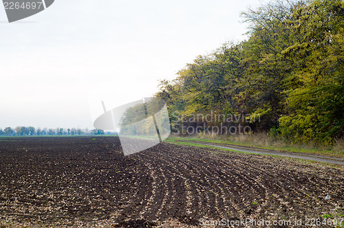 Image of tilled soil