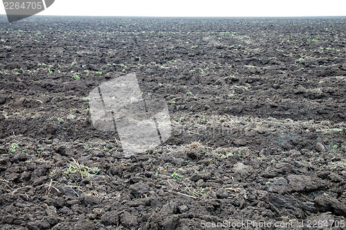 Image of tillage