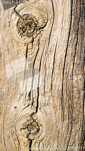 Image of wood textured