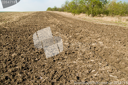 Image of after harvesting