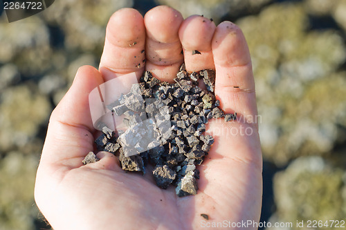 Image of soil in hand