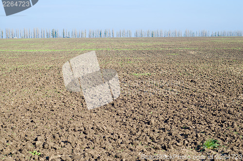 Image of fild after harvesting
